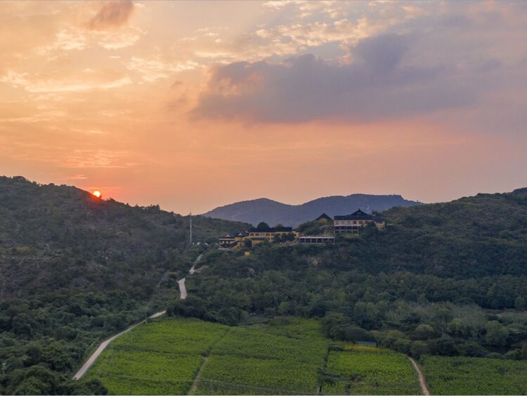 0205f12000aqyuuue4697 1